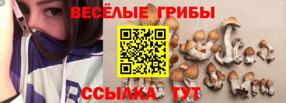 Галлюциногенные грибы ЛСД  Вход с VPN  Псилоцибиновые грибы Psilocybe  Фрязино 